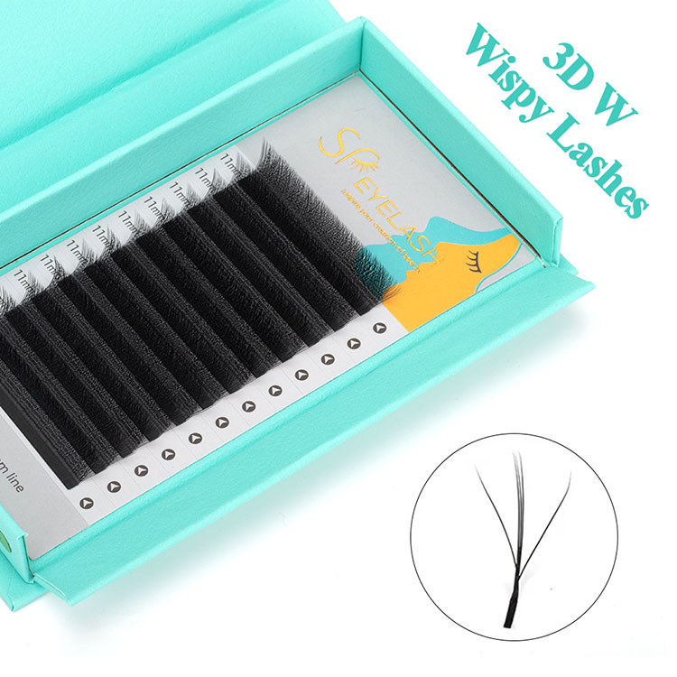 3D W Wispy Lash विस्तारहरू